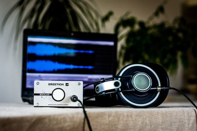 SPOTIFY запускает плейлисты для домашних животных